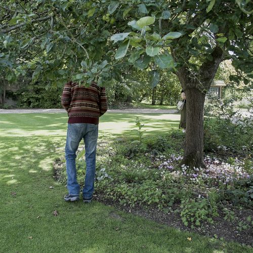 hidden faces #119