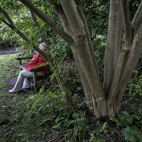 hidden faces #116